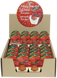Mini Grow Kit Tomaten